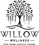 Willow Wellness logo